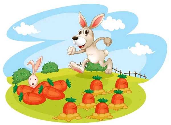 Un coniglio che corre lungo il giardino con le carote — Vettoriale Stock
