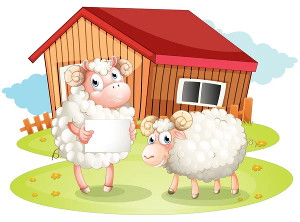 A sheep holding an empty signage at the back of the barn — Stock Vector