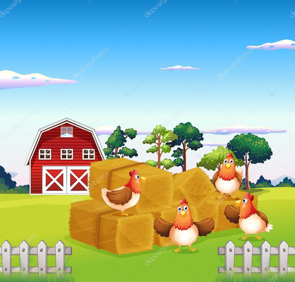 Four chickens in the hay with a barn at the back