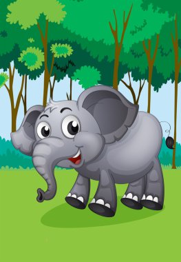 Ormanın ortasında bir fil