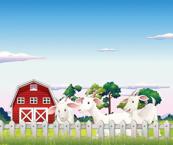 Tres cabras dentro de la cerca en la granja — Vector de stock
