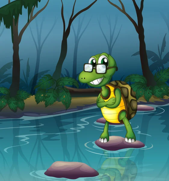Een schildpad in de vijver — Stockvector
