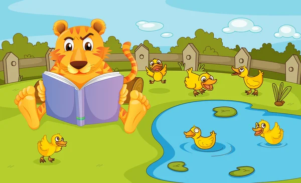 Un tigre leyendo junto a un estanque con patitos — Vector de stock