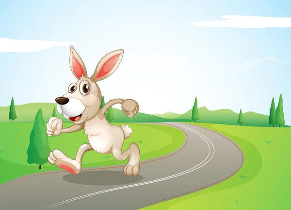 Een lopende konijn op de weg — Stockvector