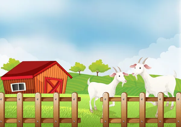 Due capre bianche alla fattoria — Vettoriale Stock