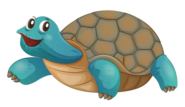 A turtle smiling — Stock Vector