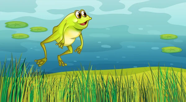 풀밭에서 점프 하는 개구리 — 스톡 벡터