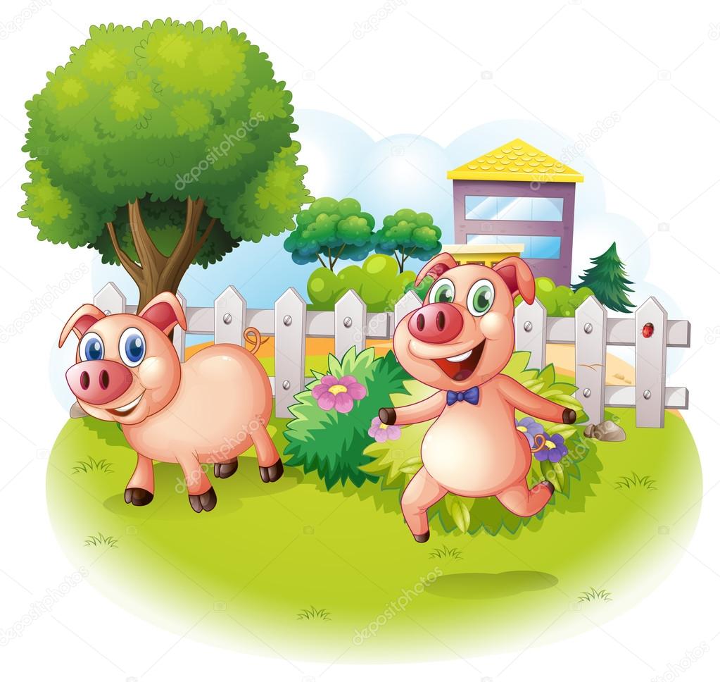 Two playful pigs near the wooden fence
