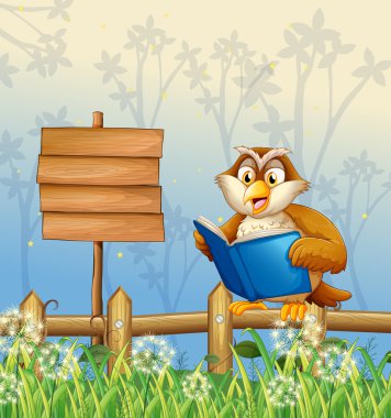 ahşap tabela yanında kitap okuyarak bir baykuş