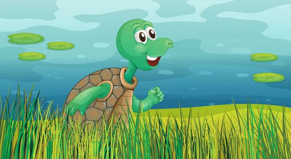 A turtle running along the pond — Stock Vector