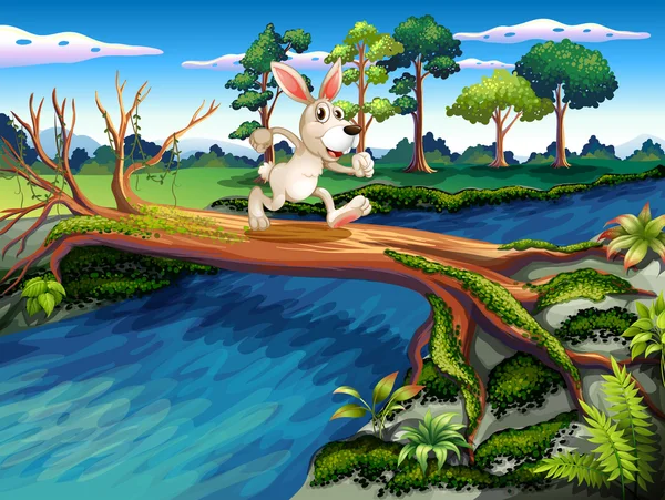 A rabbit crossing the river — Stock Vector