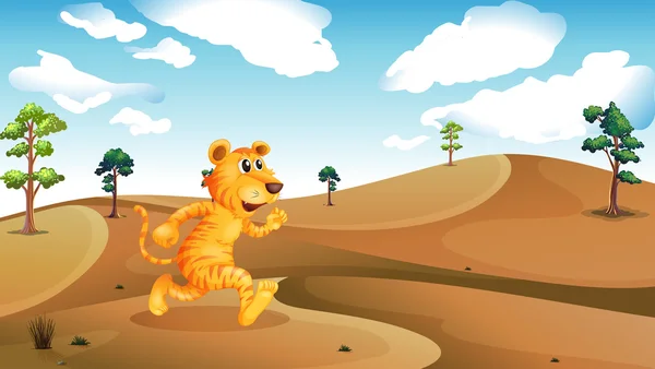 A tiger running in the desert — Stock Vector