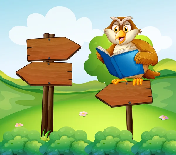An owl reading above an empty arrow signboard — Stock Vector