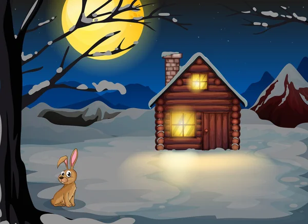 Un lapin à l'extérieur de la maison dans un décor clair de lune — Image vectorielle