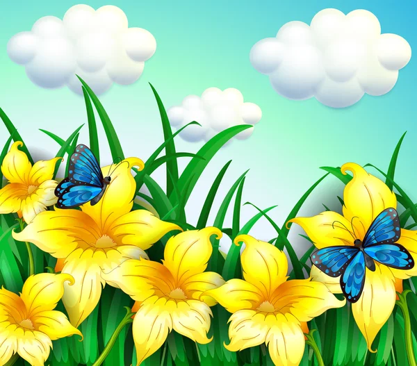 A garden with yellow flowers and blue butterflies
