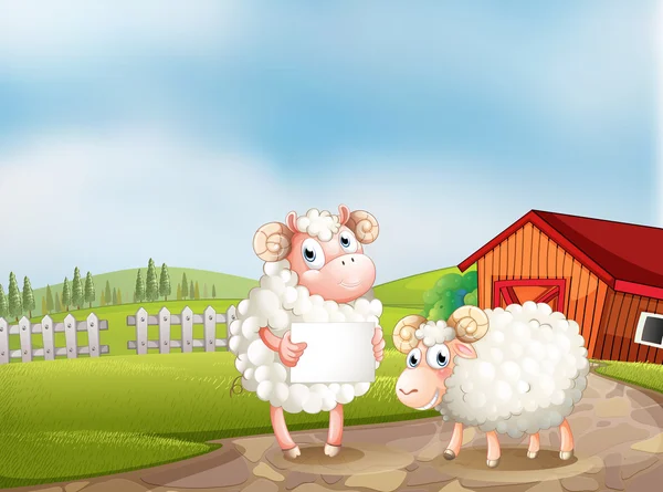 Овца на ферме держит пустую вывеску — стоковый вектор