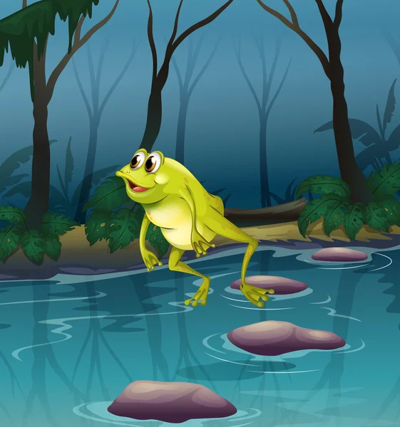 A frog jumping at the pond inside the forest