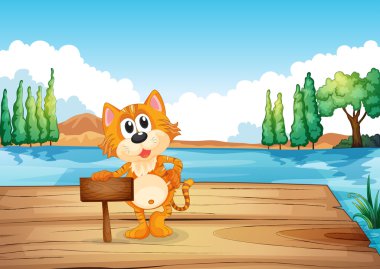 nehir kenarında boş tabela kedi