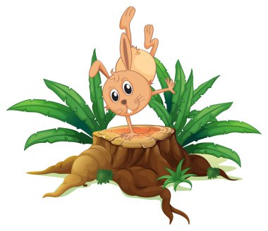 yaprakları ile kütük üstünde tavşan