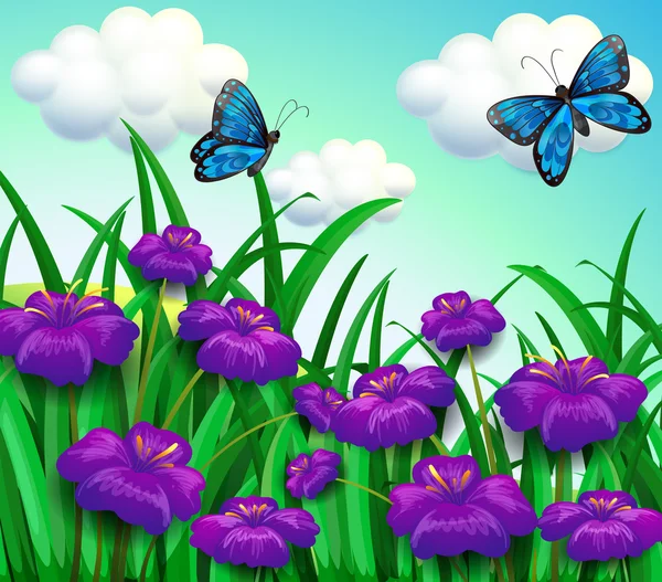 Dos mariposas azules en el jardín con flores violetas — Vector de stock