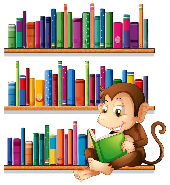 A monkey reading in front of the bookshelves — Stock Vector