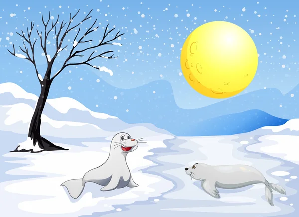 Leones marinos jugando con la nieve bajo la luna llena — Vector de stock