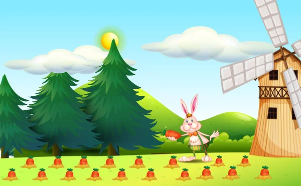 Een konijn aanplant wortelen — Stockvector