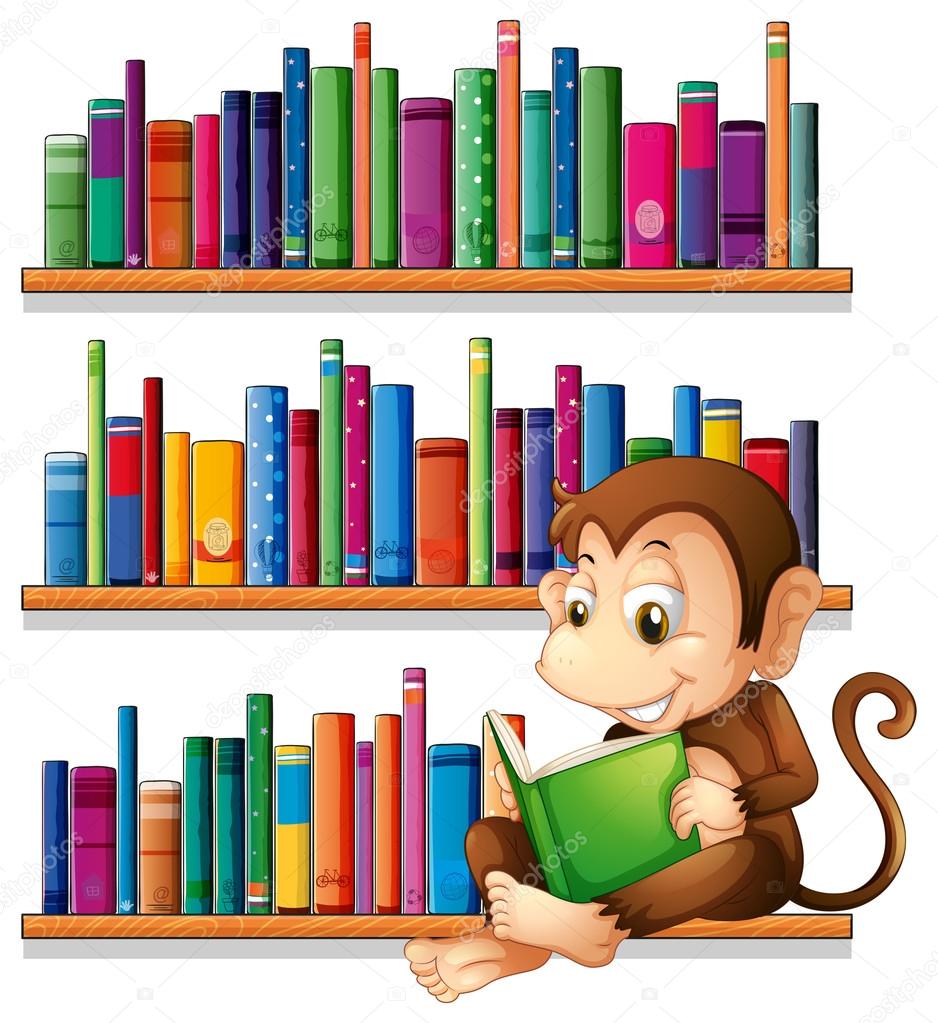 A monkey reading in front of the bookshelves