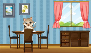 bir tablo ile gönüllülük a kedi