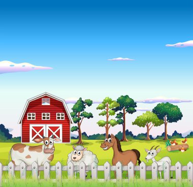 hayvanların ruhuna barnhouse arkadaki çiti
