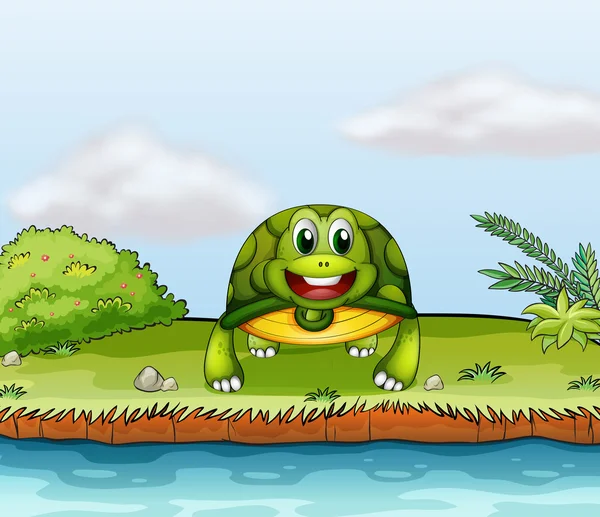 En sköldpadda på riverside — Stock vektor