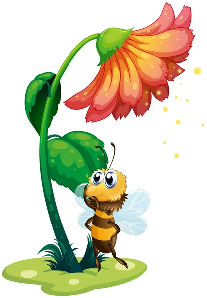 A bee standing under the big flower — Stock Vector