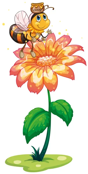 A bee with a pot of honey flying above the fresh flower — Stock Vector