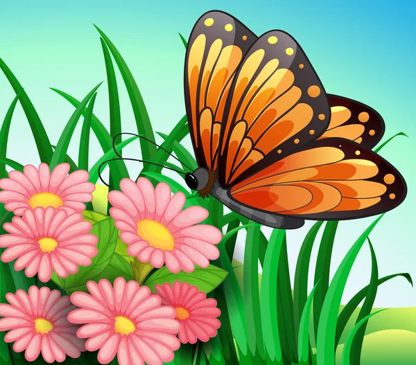 A big orange butterfly at the garden — Stock Vector