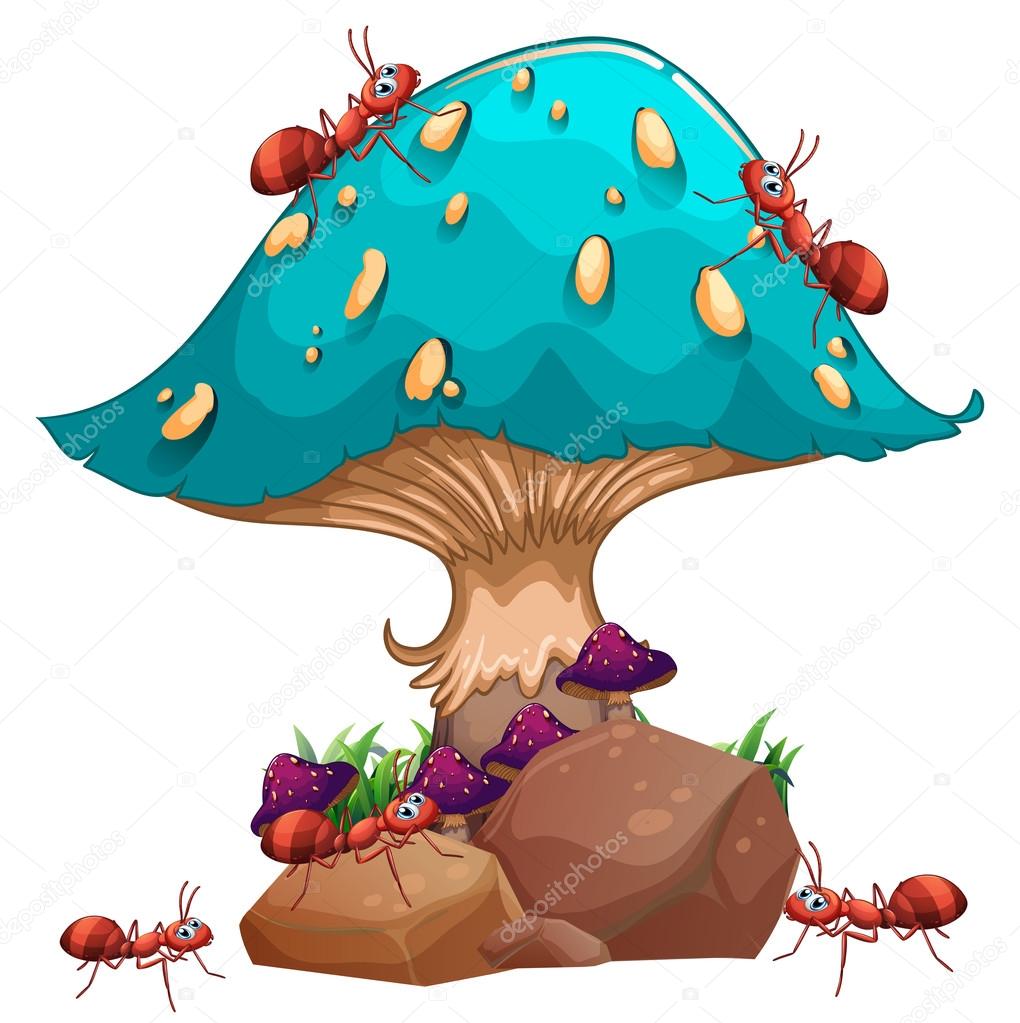 A giant mushroom and a colony of ants