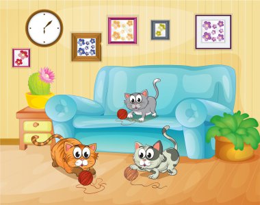 Evin içinde oynayan üç kedi