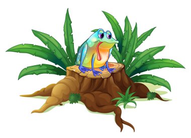 kütük üstünde yalnız kurbağa