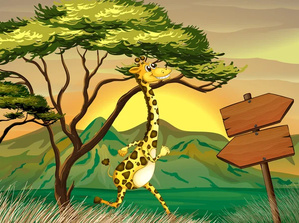 Una giraffa che segue la guida delle frecce di legno — Vettoriale Stock