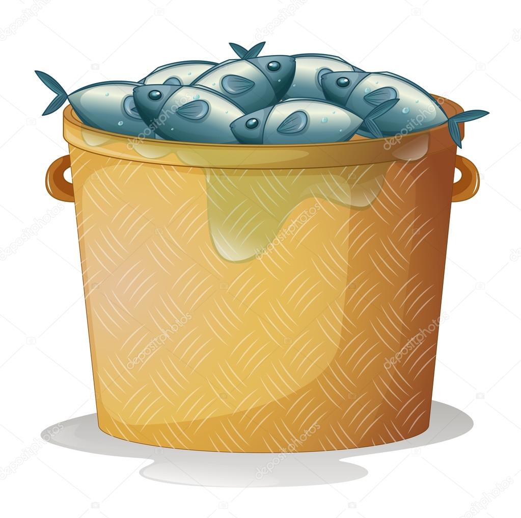 A bucket of fish