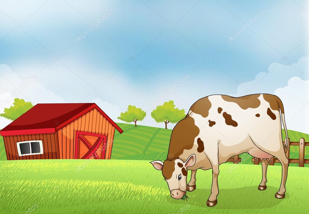 A cow in the farm