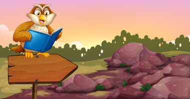 ahşap ok Pano üzerinde kitap okuyarak bir baykuş