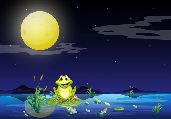 Grenouille et poissons au bord du lac sous la pleine lune — Image vectorielle