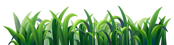 Green elongated grasses — Stock Vector