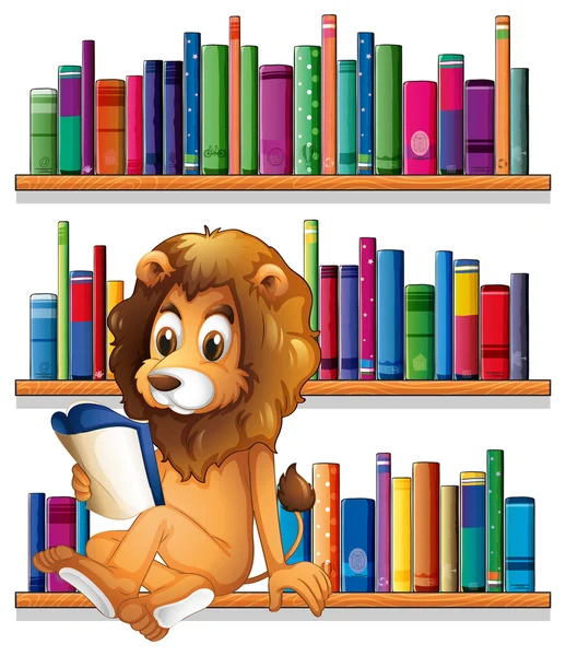 A lion reading a book while sitting on a bookshelf — Stock Vector