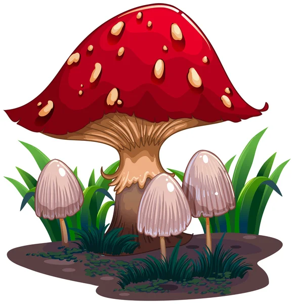An image of a huge mushroom — Stock Vector