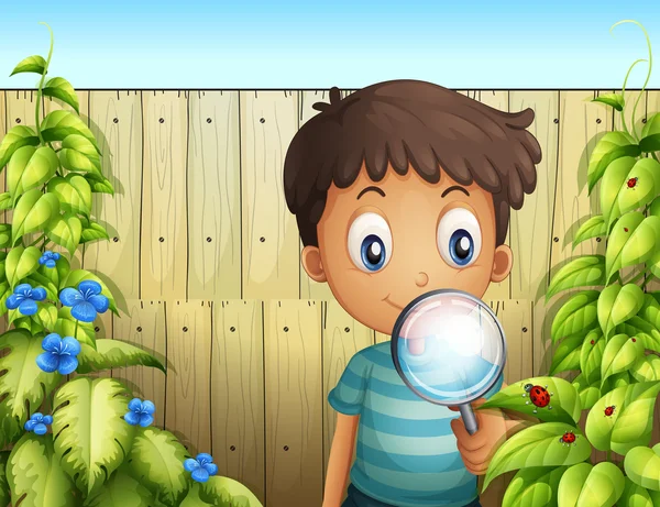 A boy holding a magnifying glass to see the bugs — Stock Vector