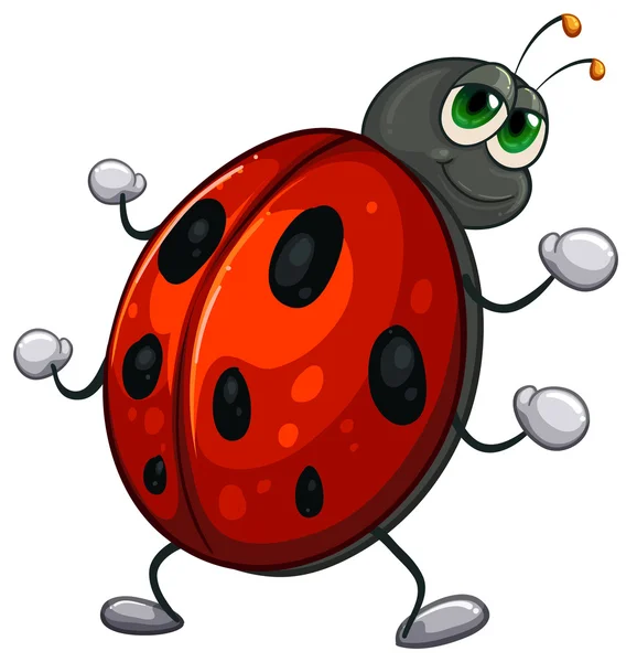 Un insecto rojo — Vector de stock