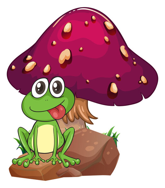 A frog above the rock with a mushroom at the back