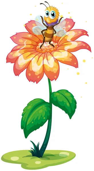 A small bee above the giant flower — Stock Vector