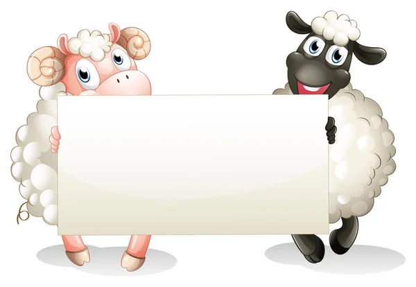 Boş bir afiş tutarak iki koyun — Stok Vektör